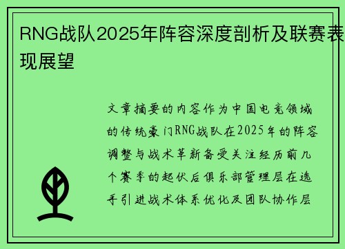 RNG战队2025年阵容深度剖析及联赛表现展望