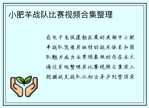 小肥羊战队比赛视频合集整理